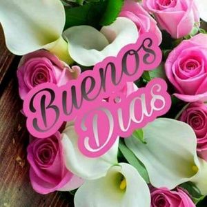 Meet your Posher, Yeli